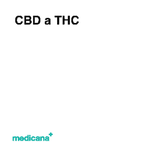 Shop Full-Spectrum CBD Gummies, Tinctures, Topicals, & More